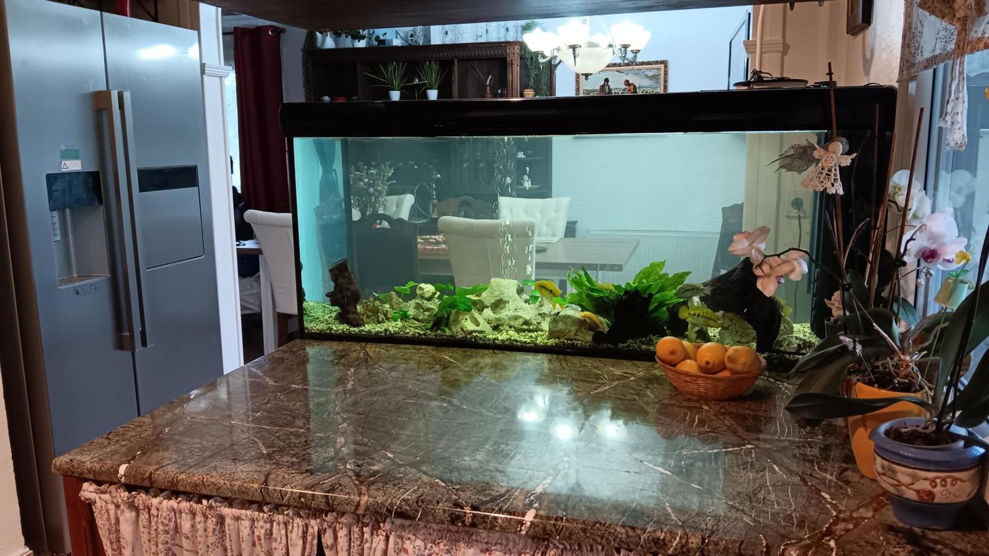 Hisa Piber Villa Bled Dış mekan fotoğraf